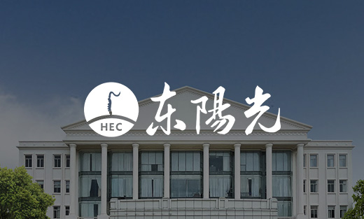 东阳光集团全新官网后台开发完成~