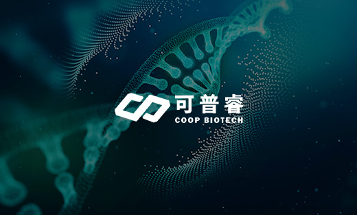 可普睿生物科技官网焕新上线，全方位展现研发实力与业务范畴